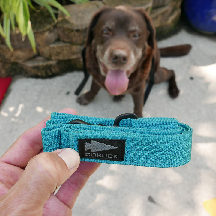 A person holds a blue Dog Leash made from military-grade nylon, with a happy brown dog sitting in the background.