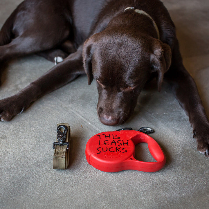 A brown dog looks at a red Dog Leash labeled "THIS LEASH SUCKS" beside a green small Dog Leash made of military-grade nylon on the floor.