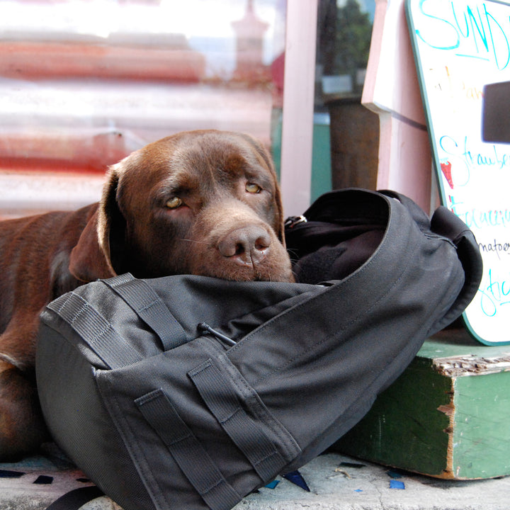 A brown dog rests its head on a black Radio Ruck USA Throwback backpack, lying next to a colorful sidewalk sign.