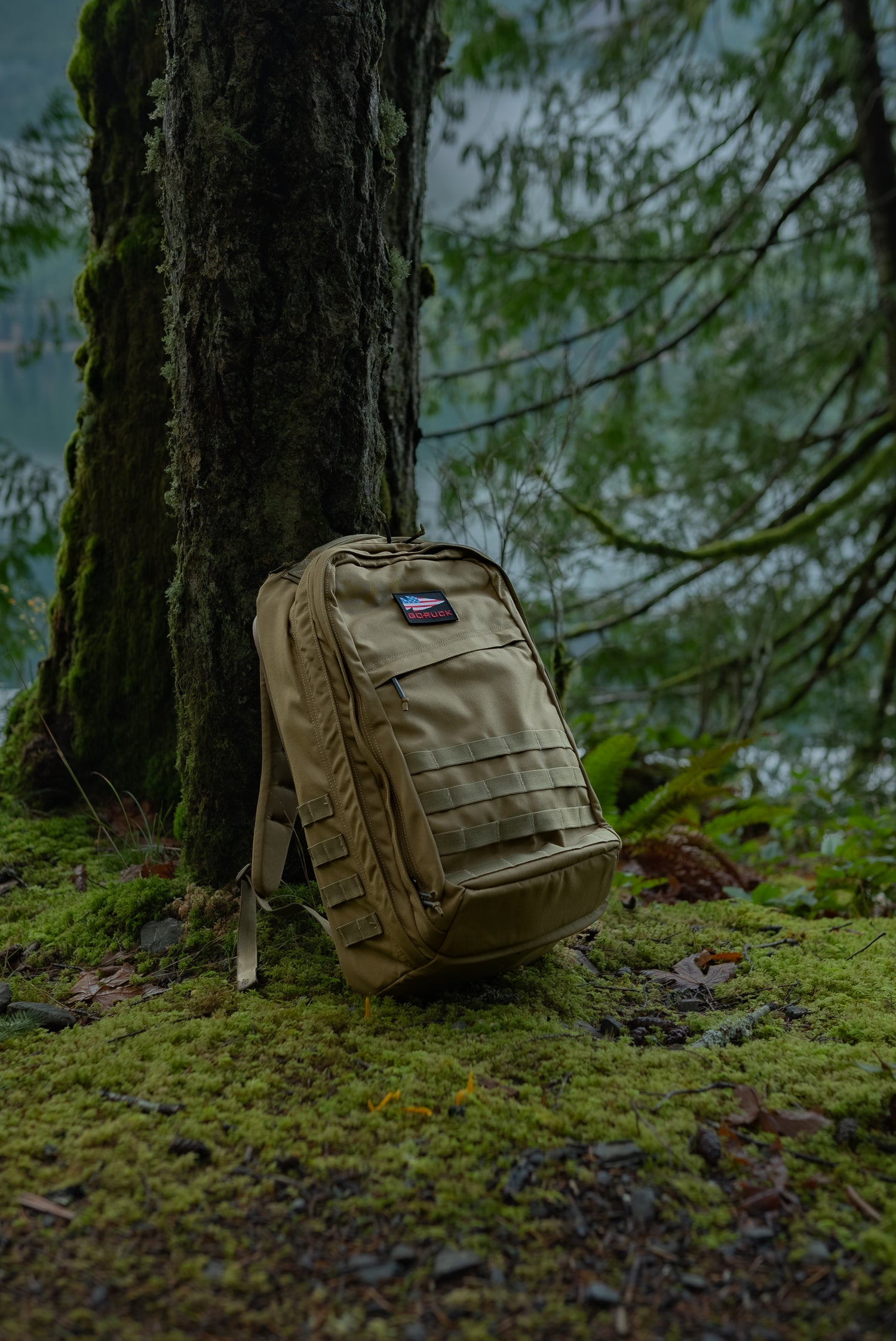 A tan GR2 - Cordura rucksack rests against a mossy tree in a forest near a lake.