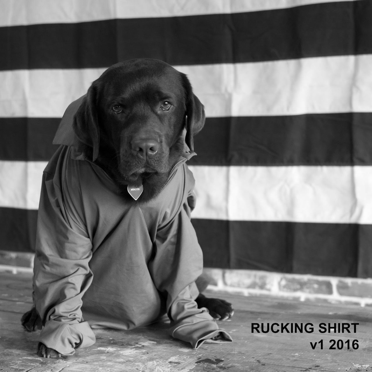 A black dog wearing a Men's Rucking Shirt - Merino Wool sits in front of a striped flag. Text: 