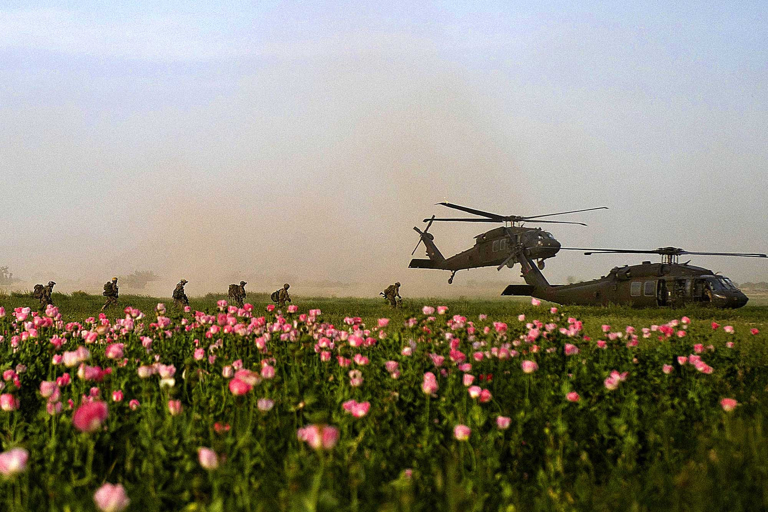 A group of soldiers in a field of flowers.