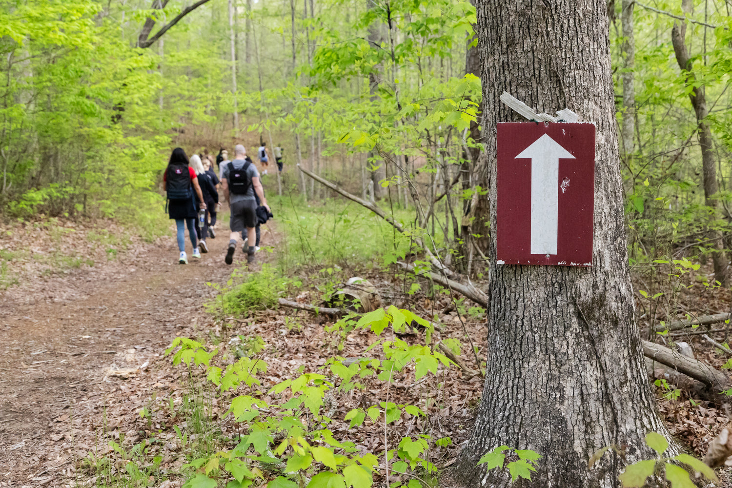 A group of hikers walks on a forest trail; a sign with a white arrow points straight ahead on a tree.