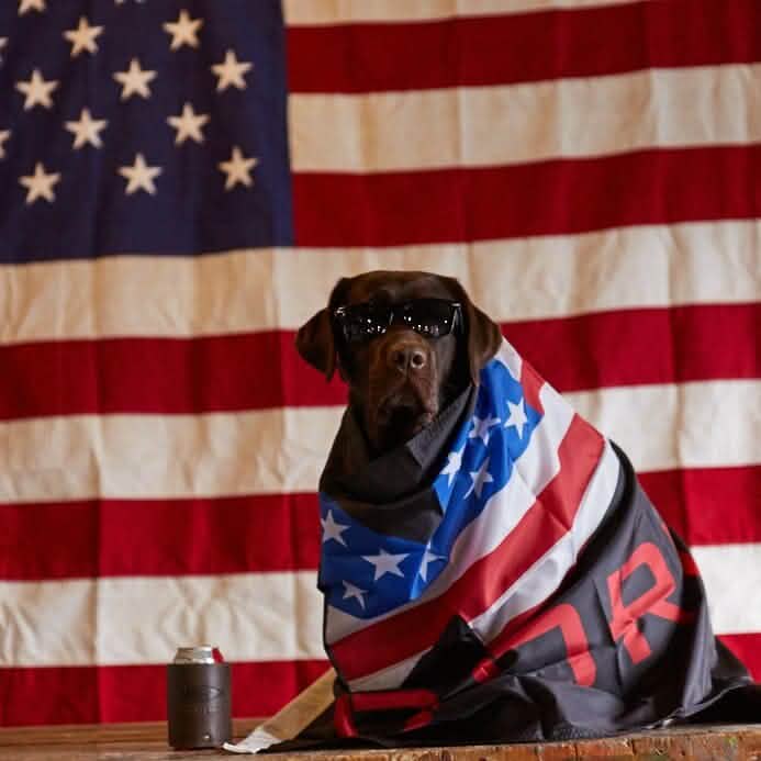 A dog sporting sunglasses is wrapped in a durable weather-resistant nylon blanket with stars and stripes, sitting proudly in front of the GORUCK USA flag by Annin Flagmakers. Nearby, there's a drink secured in a can holder.